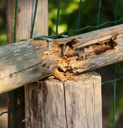 Deck & Fence Repairs